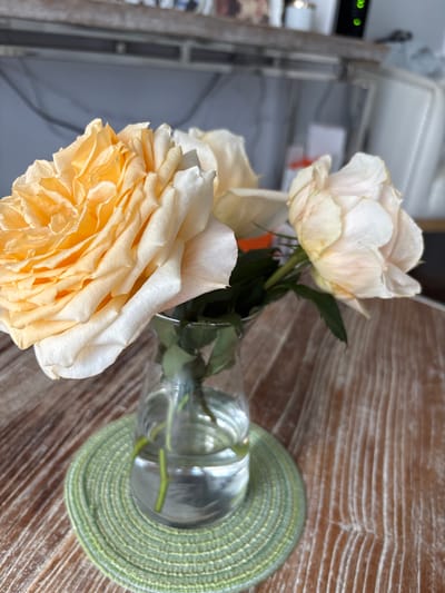 A close-up, eye-level shot shows three light-colored roses in a clear glass vase on a light green, circular woven placemat. The placemat rests on a wooden table with a visible grain pattern. The rose on the left is the most prominent, displaying tightly packed, layered petals in shades of cream and peach. Two other roses, one directly behind and slightly to the right of the first, and another further back and to the right, are less in focus and appear to be lighter, more washed-out versions of the first rose. The vase contains clear water, and the stems and leaves of the roses are visible. The background is blurred, showing a hint of a shelf with some objects, a grey wall, and what appears to be a white chair or furniture. The overall scene suggests an indoor setting, possibly a home or a café in Aventura, United States of America, with a focus on the natural beauty of the flowers.