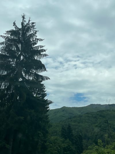 The image depicts a landscape in Barziya, Bulgaria. The sky is overcast with white and grey clouds, showing patches of blue. A tall, dark evergreen tree is in the foreground, its branches appearing windswept. To the right of the tree is a mountain covered in lush, green vegetation. A bare tree is visible atop the mountain.