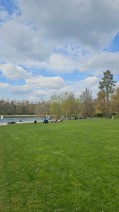 The image shows a park in Rheinfelden, Switzerland, adjacent to the Rhine River. A large green lawn occupies the right half of the frame. The left side depicts a riverbank with trees and a pathway. People are visible sitting on benches, walking, and cycling. The sky is partly cloudy with blue patches.