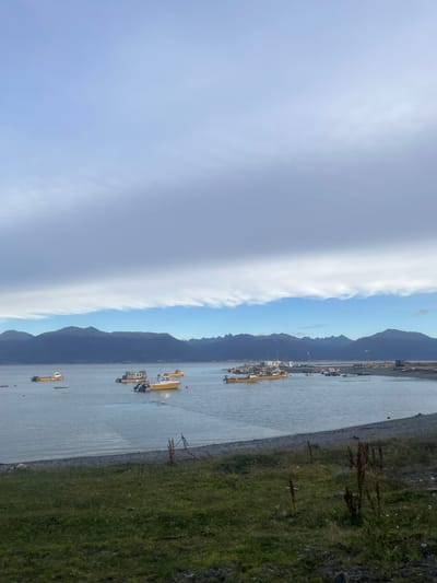 The image shows a waterfront scene in Puerto Almanza, Argentina. The sky is partially cloudy. A chain of mountains runs along the coastline. The water appears calm. Several yellow and white fishing boats are anchored in the water, some near the shore and others clustered further out. The shoreline is a mix of gravel and green grassy areas.