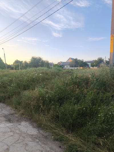 This media file depicts an outdoor scene in Maximovca, Moldova. The foreground shows a cracked dirt road with dry, tall grass growing alongside it. The midground is dominated by dense, overgrown vegetation with scattered white wildflowers. In the distance, behind the overgrowth, is a yellow soccer goal. Beyond that, a row of houses with visible roofs and windows is nestled amongst trees. A power pole with a yellow marking and the number "10" is visible on the right side of the frame. Overhead, power lines stretch across a light blue sky with wispy white clouds. The lighting suggests it is either early morning or late afternoon due to the soft, warm glow in the sky. There is no activity or event clearly taking place, giving the scene a quiet, somewhat neglected feel. The overall impression is of a rural or semi-rural setting on a clear day.