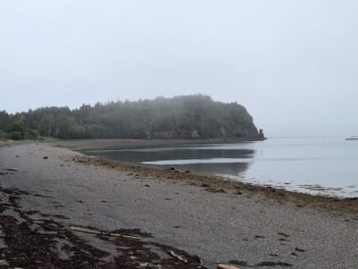 The image depicts a serene, overcast day on a rocky beach in Campobello Parish, Canada. The foreground is dominated by a pebble beach scattered with dried seaweed and a few pieces of driftwood. The beach slopes gently towards the water. In the middle ground, a body of calm water reflects the misty sky. To the left, a lush, tree-covered headland juts out into the water, its base obscured by fog and distance. A small rock formation is visible near the tip of the headland. The horizon line is soft due to the pervasive fog, blending the water and the sky into a hazy expanse. In the far distance, a yellow buoy and a small pier or dock structure are faintly visible on the right. There are no people or animals present in the scene. The overall atmosphere is one of quiet solitude and natural beauty.