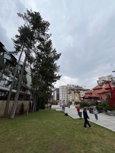 The image presents an outdoor urban scene in Zlatibor, Cajetina Municipality, Serbia, under a uniformly overcast sky. In the foreground left, a sloped green lawn borders a multi-story building featuring a green-tiled roof section and reflective windows; a line of tall, slender pine trees stands vertically between the lawn and this structure. To the right of the lawn, a paved area, appearing to be a pedestrian walkway or low-traffic street, extends into the background.
On this paved area, a male in a dark jacket and pants is observed walking leftward. A female in a light puffer vest and jeans stands still, facing towards the right side of the frame. Further back, a person in a red jacket stands, and another individual in dark clothing is lying prone on the pavement. A black SUV is parked on the paved surface. The far right foreground includes a partial view of a large red, abstract sculpture.
The midground and background reveal a developing urban landscape consisting of multiple buildings. A prominent multi-story building with a distinctive curved concrete frame is under construction, unclad, with a yellow construction crane visible above it. Adjacent buildings exhibit various architectural styles, including structures with pitched brown roofs, wooden elements, and balconies. Additional individuals are scattered across the paved areas and near building entrances.