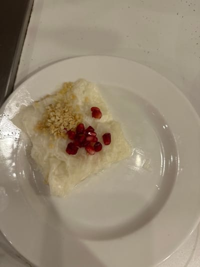 A single portion of a white dessert, possibly a milk-based pudding or a light pastry, is centered on a white, round ceramic plate. The dessert is irregularly shaped and appears soft with a slightly translucent quality. It is garnished with two distinct toppings: a cluster of finely chopped, light brown nuts is positioned on the upper left side of the dessert, and a group of red pomegranate seeds is located on the lower right side. The plate rests on a light-colored, possibly off-white, speckled surface, which appears to be a countertop or table. A dark, vertical object is partially visible on the far left edge of the frame. The scene is illuminated by an overhead light source, creating subtle reflections on the plate and the dessert's surface. This observation takes place in Zeytinburnu, Turkey. No individuals or specific actions beyond food presentation are depicted.
