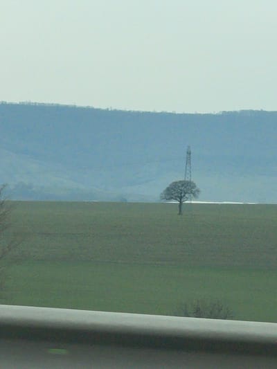 The image displays a rural landscape in Struino, Bulgaria, under an overcast, pale grey-white sky. The foreground is marked by a curved, smooth, grey barrier or railing spanning the bottom third of the frame, suggesting a view from a vehicle or elevated structure. Partially visible behind the barrier on the far left is a dark, bare tree or large bush, with another smaller, dark bush situated below the barrier on the right.

The mid-ground consists of a vast, flat, muted green field, likely an agricultural area, extending towards the horizon. A single, isolated deciduous tree, bare of leaves, stands centrally within this field. Directly behind the tree and slightly overlapping its canopy is a tall, slender lattice tower, characteristic of a telecommunications or power pylon. To the right of the tree, a horizontal strip of lighter-colored ground, potentially snow or fallow earth, is visible in the distance within the field.

The background features a range of low, rolling hills or mountains, appearing in a uniform blue-grey tone due to atmospheric perspective. The crests of these hills are topped with a faint, irregular line of dark, sparse vegetation. No individuals or specific actions are discernible within the frame.