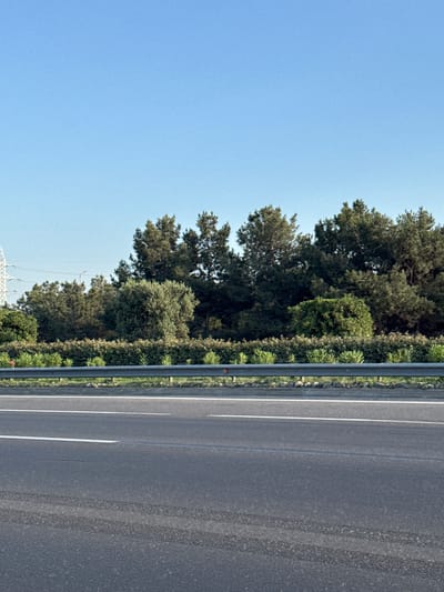 This media file is an image depicting a roadside scene in Surakhany Raion, Azerbaijan. The primary subjects are a road, a guardrail, lush green trees, and a clear blue sky. The road is paved and shows lane markings, indicating it's a thoroughfare, likely a highway or major road. A metal guardrail runs along the edge of the road, separating it from the vegetated area. Dense trees, varying in height and foliage, form a thick green border. The sky is a uniform, bright blue, suggesting it is daytime and the weather is clear.

There are no people or obvious objects that would indicate a specific activity or event taking place, beyond the general context of a road in a natural setting. The image seems to be a still shot, capturing a moment of the landscape. The lighting suggests it is daytime, possibly morning or afternoon, given the brightness of the sky. The presence of the road and guardrail points to a developed area, likely on the outskirts of a town or city, or a route connecting different locations. The specific location cues like the type of vegetation and the style of road infrastructure might offer further, though not explicitly visible, context about the region. There is no visible text within the image.