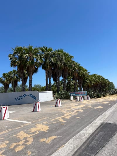 The image shows the entrance to a water park, likely named "ACQUAPARK IPPOCAMPS", located in Manfredonia, Italy. A white wall with "ACQUA PARK" written in blue arching letters is visible on the left. A signpost indicating "ACQUAPARK IPPOCAMPS" with an arrow pointing right is positioned further down the road. The area is lined with palm trees and other vegetation. Several concrete barriers with red and white stripes are placed along the side of the asphalt road. The sky is clear and blue. The ground surface has scattered light-colored debris, possibly dried leaves or seeds.