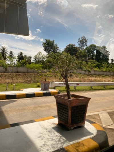 The image shows an outdoor scene in Seulimeum, Indonesia. A tree in a square brown pot is positioned at the edge of a sidewalk marked with yellow and black stripes. A grassy area separates the sidewalk from a low concrete wall running alongside a line of trees. A building corner is visible in the lower left. The sky is blue with scattered clouds, reflected in a surface in the foreground.