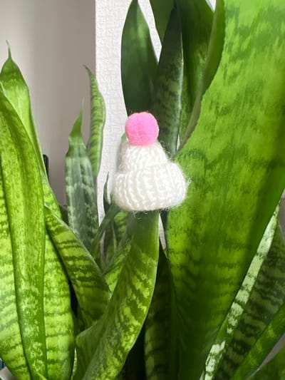 The image shows a close-up of a snake plant with a small, white crocheted cap adorned with a pink pom-pom placed on one of its leaves. The plant has characteristic long, green, fleshy leaves with lighter green or greyish horizontal stripes. The background is a neutral, textured wall, possibly white or light grey. The lighting is soft and diffused. There are no people present, and no specific details suggest a location in Анкудиновка, Russia. The scene is static and appears to be an indoor arrangement.