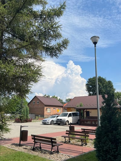 A street view in Borowa, Poland, features a large, fluffy cumulus cloud dominating the bright blue sky. In the foreground, a dark evergreen tree partially obscures the scene. To the left, a large conifer tree with sparse needles extends from the left edge of the frame. The middle ground reveals a paved area with several dark brown park benches. A dark brown trash receptacle stands near the benches. Behind the benches, two cars are parked: a silver Mercedes sedan and a white panel van. Further back, two buildings with dark brown, tiled roofs are visible. The building on the left is constructed of red brick and has two windows on its upper facade. The building on the right is a lighter color and features a covered porch with a brown railing. A tall, grey lamppost stands in the right portion of the frame.