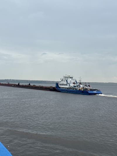 A blue and white vessel, identified by the marking "DT-2500", is pushing a long barge filled with dirt or sand across a body of water. The barge is a dark color and extends far behind the vessel. The water is a dark, choppy gray. The sky is overcast and a light gray. In the distance, a tree line is visible along the horizon, suggesting a landmass. The scene appears to be taking place on a river or a large lake. The city of Il'ichevskii, Russia is not visually represented in this image; the provided location is an external piece of information.