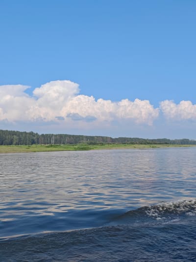 This is an outdoor, eye-level, vertical, full shot of a wide, calm river on a sunny day. The sky is a clear, bright blue with large, puffy white clouds scattered across the upper portion of the frame. The river occupies the bottom two-thirds of the image, with a gentle wake visible on the right side, indicating movement. The far bank of the river is lined with a dense, green forest, transitioning to a lighter green, grassy shoreline in the foreground of the trees. The location is the city of Потапово, Russia.