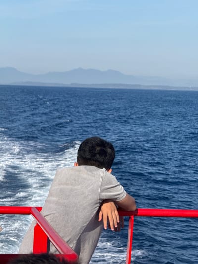 A young person, viewed from behind, leans on a bright red railing of a boat. The person wears a grey t-shirt and grey pants. They look out at a vast expanse of deep blue ocean, with a white wake trailing behind the boat. In the distance, hazy blue mountains are visible on the horizon under a clear, light blue sky. The scene is a serene moment on the water.