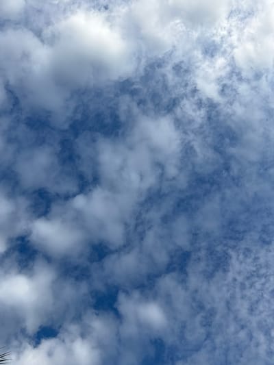 The image displays a blue sky filled with white clouds, captured in Pulorungkom, Indonesia. The upper left and central portions of the frame feature denser, brighter white cumuliform clouds, exhibiting varying levels of opacity and soft grey undersides indicating depth. Towards the right and upper right, the clouds become significantly thinner and more diffused, appearing as wispy, scattered patches that allow the underlying blue sky to show through with greater prominence. The sky color ranges from a deep azure in clearer areas to a lighter, paler blue where the thinner clouds are present. A dark, out-of-focus, jagged element, consistent with foliage or a branch, is partially visible in the extreme bottom-left corner of the frame, suggesting the photograph was taken looking upwards. No people, discernible subjects, or specific actions are depicted within the frame, which focuses solely on the atmospheric conditions.