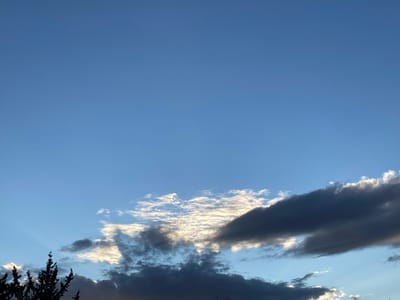 The scene, located in Tighennif, Algeria, displays an expanse of sky. The upper portion is a clear, vibrant blue, transitioning to lighter blue and grey tones towards the horizon. A large, elongated dark grey cloud mass occupies the mid-to-lower right quadrant, its edges partially illuminated. Around and partially obscured by this, bright white and light grey clouds are evident, receiving direct sunlight. Crepuscular rays are visible fanning upwards from behind a cloud formation positioned in the far left of the frame. The silhouetted upper foliage of a coniferous tree is present along the bottom-left edge. No individuals, activities, or man-made structures are discernible within the image.