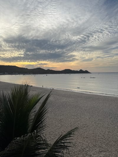 The image depicts a serene beach scene at dusk in Lệ Uyên, Vietnam. The sky is a canvas of soft gray clouds with streaks of pale yellow and orange near the horizon, suggesting the last moments of sunset. The calm sea stretches out, meeting a distant coastline characterized by dark, undulating hills dotted with faint structures and numerous small boats anchored offshore. A wide expanse of sand occupies the foreground, leading to the water's edge. In the mid-ground, a few individuals are visible, some walking along the shoreline and others wading in the shallow water. A prominent palm frond in the lower left corner partially frames the view, adding a tropical element to the composition. The overall impression is one of tranquility and natural beauty.