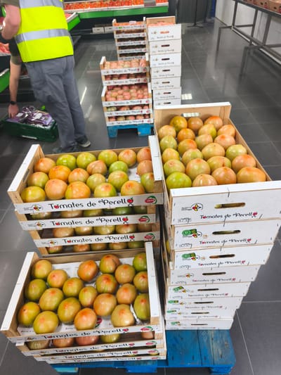 The image captures an indoor commercial environment, likely a supermarket or a large grocery store, within the agricultural region associated with Sueca, Spain, as indicated by the "Tomates de el Perelló" labels on the produce boxes.
In the left foreground, a person is partially visible from the waist down, wearing a bright yellow high-visibility vest with reflective grey stripes, a dark green or olive-colored shirt, dark grey cargo pants, and dark footwear. Their right arm extends downward, with the hand interacting with items inside a green plastic crate positioned on the floor. This crate contains several items individually packaged in clear plastic with purple bases. A second person's left arm is partially visible further left, also interacting with produce.
The central and right portions of the frame display numerous fresh tomatoes in various stages of ripeness, ranging from green to yellow, orange, and reddish-orange. These tomatoes are presented in two primary types of containers:
1. **Wooden Crates**: On the left side, a stack of open wooden crates is filled with loose tomatoes.
2. **Cardboard Boxes**: To the right, multiple tall stacks of white cardboard boxes are visible. Each box is labeled in black text with "Tomates de el Perelló" and features a small red heart or tomato graphic. Some boxes also display "UNIPRO" branding and smaller text details. These stacks are supported by blue wooden pallets. Further stacks of identical labeled boxes on blue pallets extend into the background on the right.
The floor consists of large, dark grey or black square tiles with light grey grout lines, reflecting ambient light. In the background, beyond the tomato stacks, supermarket-style shelving units are visible; some are stocked with produce like oranges or lemons, while others appear to be empty metal display structures. The entire area is uniformly and brightly illuminated by overhead artificial lighting. The scene depicts the process of stocking or displaying agricultural produce, specifically tomatoes from the El Perelló region.