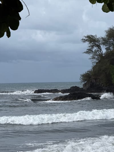 The image displays a rocky coastal landscape under an overcast sky in Māhina, France. The foreground features dark grey ocean water with multiple white-crested waves moving towards the viewer. Several dark, irregular rock formations protrude from the water in the midground, with waves visibly breaking against them. On the right side, a steep, dark landmass or cliff rises from the water, densely covered with green and brown foliage, including numerous trees. The sky above is entirely obscured by a uniform layer of dark grey clouds. Out-of-focus dark green leaves partially frame the scene from the upper-left corner. No individuals, man-made structures, or specific interactions are visible.