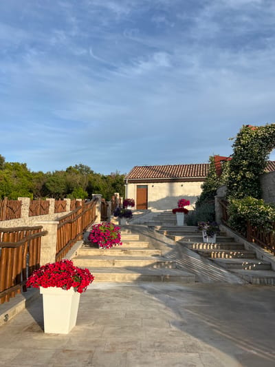The image shows a paved outdoor area with stairs, a wooden fence, and a building in Zagora, Montenegro. The stairs are made of light-colored stone and are lined with potted flowers. The fence is made of wood and stone. The building is a light-colored structure with a tiled roof and a wooden door. The sky is blue with some white clouds. The scene appears to be bathed in the warm light of either sunrise or sunset, casting long shadows across the stairs and pavement. There are no people visible in the image. The vegetation consists of trees in the background and flowering plants in the foreground and on the stairs.