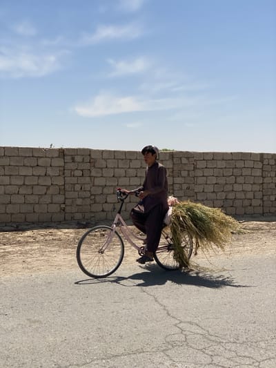A young man rides a pink bicycle on a paved road in Deh-E Bagh, Afghanistan. He wears a brown outfit and cap, and a bundle of dry grass is affixed to the back of the bicycle. Behind him is a beige brick wall. The sky is blue with light clouds.