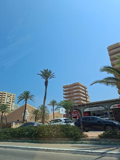 In San Javier, Spain, a sun-drenched scene unfolds with a clear blue sky overhead. Tall palm trees punctuate the landscape, their fronds rustling gently. Modern, multi-story buildings with beige facades and white balconies rise in the background. In the mid-ground, a row of shops and restaurants are visible, one with a sign that reads "DESAYUNOS & COMIDAS MEDITERRANEO MENU DIARIO." Cars are parked along the street, and a neatly trimmed green hedge lines the foreground. The overall impression is one of a bright, coastal urban environment.