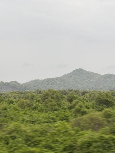 The image captures a hazy, verdant landscape dominated by lush green foliage and a distant, tree-covered mountain under a pale, overcast sky. The foreground exhibits a blur of green, indicating motion, likely from a vehicle. This blurred effect suggests a view captured from a moving train or car. In the middle ground, a dense, undulating forest stretches across the frame, its trees a vibrant green. Behind this, a mountain rises, its slopes also thickly carpeted with trees, though appearing slightly muted due to distance and atmospheric conditions. A small, white building can be faintly discerned nestled amongst the trees on the mountain's slope. The overall impression is one of natural beauty, with the soft lighting and diffused details contributing to a serene, almost dreamlike atmosphere. The scene is consistent with the lush, hilly terrain found in and around Vasai-Virar, India, a region known for its green cover and proximity to the Western Ghats mountain range.