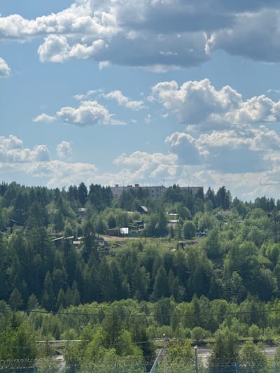This image depicts a hazy, elevated view of a semi-rural or suburban area characterized by dense evergreen and deciduous trees. In the foreground, a barbed-wire fence runs horizontally across the bottom of the frame, with a power pole visible on the right. Beyond the fence, a road or clearing is visible, bordered by more vegetation.

The middle ground is dominated by a rolling landscape covered in a thick canopy of trees, interspersed with scattered houses and smaller structures, some with visible roofs. These buildings appear to be situated on cleared plots within or on the edges of the wooded area.

In the background, atop a rise, a large, multi-story building, possibly an apartment complex or administrative building, is visible. This building has a light-colored facade and is topped with numerous antennas or communication towers. The overall impression is one of a settlement integrated into a heavily forested environment.

The sky is a clear blue with scattered cumulus clouds, suggesting fair weather conditions. The overall lighting indicates daytime, likely late morning or early afternoon, given the brightness and shadow patterns. The scene appears to be located in Chulman, Russia, a settlement known for its surrounding natural landscapes. No people or specific actions are discernible in the image.