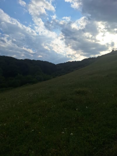 This is a vertical, eye-level, medium shot of a grassy hillside under a cloudy sky. The sun is bright and shining through some of the clouds, creating dramatic lighting on the left side of the image. The hillside occupies the right two-thirds of the frame and is covered in short green grass with occasional small white wildflowers. The left third of the image is dominated by the sky, which is filled with a mix of bright white and dark gray clouds. The sun is a brilliant white light peeking through the clouds on the top left. Along the edge of the hillside, there is a dark silhouette of trees, suggesting a forested area beyond the grassy slope. The overall mood is natural and somewhat dramatic due to the contrast between light and shadow in the sky and on the landscape. The time of day appears to be late afternoon or early evening, given the quality of light and the presence of dramatic cloud formations. The location is identified as Alkhasty, Russia. No people, objects, or text are visible.