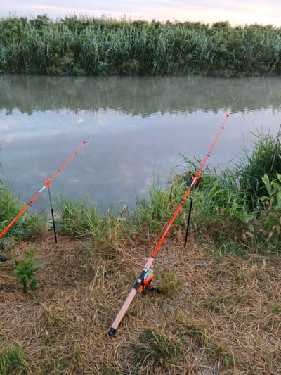 The image shows two fishing rods set up on the grassy bank of a canal. The rods are bright orange and have fishing reels attached. The canal is calm and reflects the reeds and vegetation that line its banks. The sky is overcast and appears to be either early morning or late evening. The location is Dzhiginka, Russia.