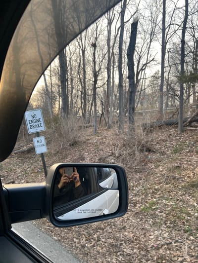 The image depicts a roadside scene in the Town of New Windsor, United States of America, captured from inside a vehicle looking out the passenger window and into the side-view mirror. The immediate foreground shows the dark frame of the vehicle's interior and a side-view mirror. The mirror's convex surface reflects a pair of hands holding a light-colored smartphone vertically, engaged in taking the photograph; a blue object is held between two fingers of the left hand. Partially visible text on the mirror reads "OBJECTS IN MIRROR ARE CLOSER THAN THEY APPEAR," and the reflection shows the side of a white vehicle.
Outside the vehicle, the environment is a wooded area with bare deciduous trees, indicating a late autumn or winter season. The ground is covered with dry, brown fallen leaves, scattered brush, and some visible debris. Two white rectangular signs are mounted vertically on a single dark pole: the upper sign states "NO ENGINE BRAKE" and the lower sign reads "NO LITTERING," both in black capital letters. Numerous tree trunks stand erect, some appearing damaged or broken, with fallen tree limbs visible on the ground. Through the trees in the mid-ground, a horizontal elevated structure or road barrier is discernible. The sky appears overcast, with soft, diffused sunlight casting a gentle glow from the left side of the frame, suggesting late afternoon.