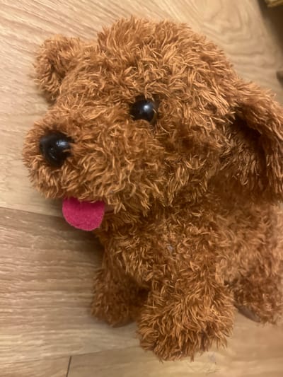 A close-up, eye-level shot shows the head of a brown, fuzzy stuffed dog. The dog's nose and eyes are black and plastic. Its tongue, which is a bright pink felt, is sticking out from its mouth. The dog is lying on a light-brown wooden floor. There are no people or other objects visible in the image. The lighting is moderate, and the image is in focus. There is no indication of the location in the city of Edem, Russia, or any other specific location.