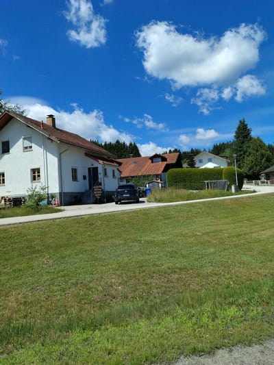 The image depicts a residential scene in Freyung, Germany, under a bright blue sky with scattered white clouds. In the foreground, a grassy lawn stretches across the frame, with a gravel path or road bordering the bottom right. Several houses are visible in the background, characterized by red tiled roofs and white or light-colored exteriors.
The most prominent house on the left is a two-story white building with several windows and a chimney. A dark blue car is parked on the driveway in front of this house. Adjacent to the car, a multi-directional wooden signpost is erected, indicating various destinations such as "Zuhause" (Home), "Maria," and other unreadable names. To the right of this house, another residence with a red tiled roof and dormer windows is partially visible, with a manicured green hedge in front. Beyond these houses, a dense forest of evergreen trees forms the backdrop.
The environment appears to be a suburban or rural area, with well-maintained properties and natural landscaping. There are no people clearly visible engaging in any specific actions. The overall impression is one of a peaceful, sunny day in a German countryside setting.