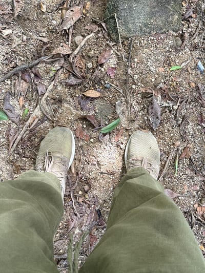 The image shows a view of the ground and the lower part of a person standing on it. The ground appears to be a mixture of dirt, small rocks, and dead leaves and twigs. To the left of the image is a large rock. The person is wearing khaki-colored pants and matching tennis shoes. No specific location in Moo 7, Thailand can be determined from this image.