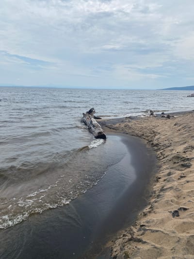 A natural landscape scene unfolds on the shore of a large body of water under a cloudy sky. The foreground features a sandy beach with ripples and impressions left by the tide. A large piece of driftwood lies partially submerged in the dark, wet sand near the water's edge, with its bark weathered and rough. The water itself is a deep gray, with small waves gently lapping at the shore, creating a foamy white line where they meet the sand. In the distance, the water stretches towards a hazy horizon, where faint landmasses or mountains are visible, softened by atmospheric perspective. The sky above is overcast, with layers of gray and white clouds dominating the upper portion of the image. The scene is devoid of human activity in the immediate foreground, though a small group of figures can be seen in the far distance on a boat to the right. This image captures a serene, somewhat somber, natural setting, typical of a remote coastline.