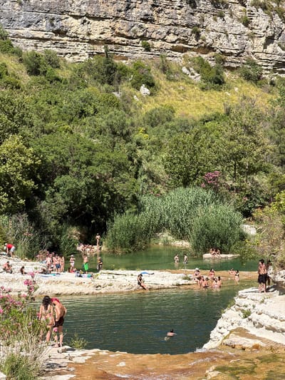 The image depicts a natural swimming area in a rocky gorge, likely the Calamosche beach near Noto, Italy, given the characteristic karst landscape. The scene is bathed in bright sunlight, casting sharp shadows. A group of people, varying in age and gender, are engaged in various recreational activities. Some are swimming in the clear, green water, while others are sunbathing on the smooth, light-colored rocks that line the pools. A few individuals are conversing and interacting on the rocky banks, some are partially submerged in the water. The environment is lush and verdant, with dense vegetation and tall reeds growing along the water's edge and up the steep, layered rock cliffs that form the backdrop of the gorge. Pink flowers are visible in the foreground vegetation. The water appears shallow in some areas, forming small cascades and pools. The people are dressed in swimwear, indicating a warm weather setting.