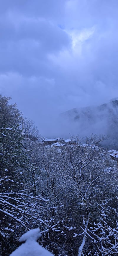The image depicts a winter scene near Breze, Bulgaria. On the right, trees and bushes are laden with snow. To the left, the sky is overcast with thick clouds, and some buildings can be seen through the trees. The scene is still and quiet, likely in a remote or undeveloped area. No people are visible.