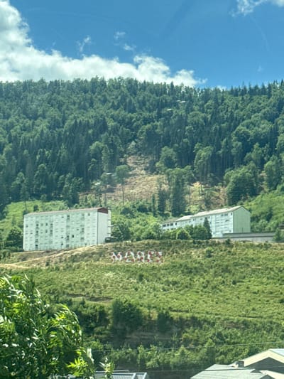In the city of Hauts de Bienne, France, a view captures a hillside densely covered with coniferous trees. The sky above is blue with scattered white clouds. Two apartment buildings, pale green with white accents and red roofs, are situated on the lower part of the wooded slope. In front of these buildings, on the grassy hillside, large red and white letters spelling out "MAXX" are visible. The terrain appears steep and uneven, with some areas of exposed earth and rock interspersed among the vegetation. In the foreground, lush green foliage obscures part of the lower portion of the scene, and hints of rooftops of other structures are visible at the very bottom.