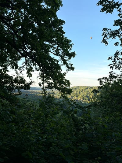 The image depicts a landscape view from within a densely wooded area, likely the Gauja National Park in Sigulda, Latvia. In the foreground, silhouetted branches and dark green foliage frame the scene, creating a sense of depth. Beyond the immediate trees, a vast expanse of rolling hills covered in lush green forest stretches towards the horizon. The sky is clear and blue, with a single hot air balloon visible in the distance, appearing as a small, colorful speck against the vastness of the sky. The light suggests it is either early morning or late afternoon, with the sun casting a warm glow on the distant treeline.