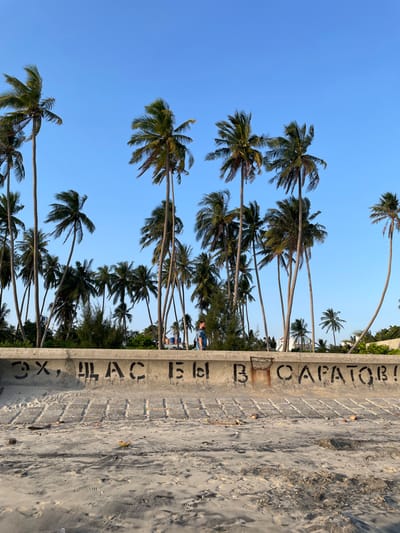 The image depicts a coastal scene in Thành phố Phan Thiết, Vietnam, under a clear blue sky. In the foreground, a sandy beach shows faint indentations and scattered small debris, including a yellow object. A low, weathered concrete retaining wall horizontally bisects the image. Its upper surface displays black Cyrillic graffiti stating "ЭХ, ШЛАС БЫ В САРАТОВ!" A rusty metal grate is embedded in the wall near the center-right. Behind the wall, a dense line of tall palm trees with green fronds extends upwards. One male individual, wearing a blue patterned short-sleeved shirt, is visible walking from left to right behind the concrete wall among the palm trees. Distant architectural elements, including a white domed structure, are partially visible through the foliage on the right side. The scene is illuminated by clear daylight.