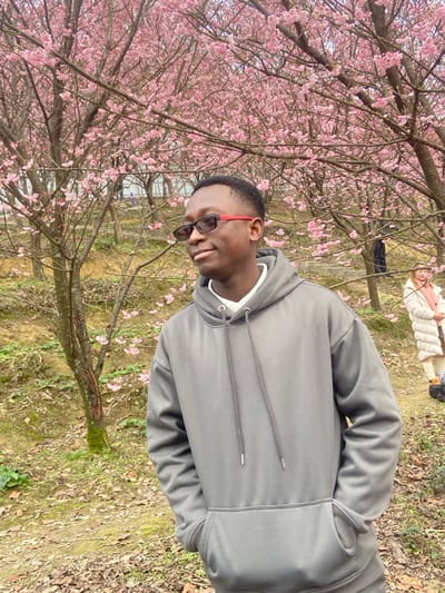 A man in a grey hoodie and sunglasses stands amidst blooming cherry trees. The pink flowers create a vibrant backdrop. He is facing the camera. In the distance, partially obscured by trees, are two people dressed in light-colored clothing. The ground is covered with grass and fallen leaves. The image is taken outdoors, likely in a park or garden setting during springtime.