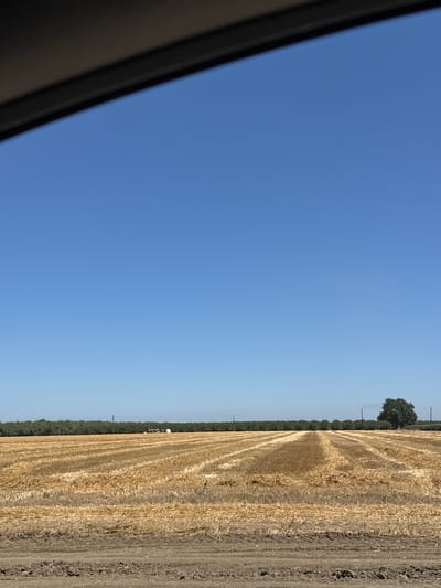 The image depicts a rural scene under a clear blue sky, suggesting a sunny day. The foreground on the left shows a dark, angled object, possibly a car window frame. The right side of the image features a harvested wheat field, with rows of straw lying on the ground. The field appears to be a golden-brown color, indicating it has been recently cut.

In the distance, a line of dark green trees forms a dense wood. A single, large tree with dark green foliage stands prominently against the sky to the left of the tree line. There are also utility poles visible among the trees, suggesting the presence of infrastructure.

Further into the field, a small cluster of white objects, possibly farm equipment or vehicles, can be seen. The overall setting is agricultural and appears to be in a location with woodland nearby, consistent with the provided location context of Woodland, United States. The absence of people and the harvested field suggest a quiet, possibly late summer or early autumn atmosphere. The bright sky and clear visibility indicate fair weather.