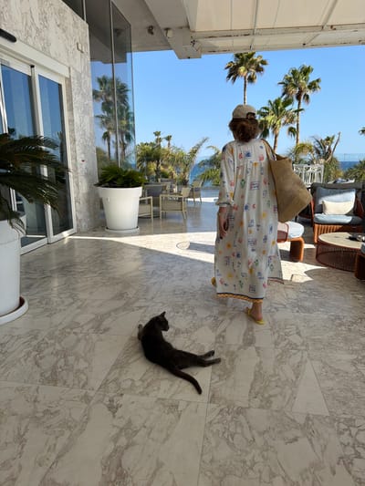 A person wearing a long, patterned dress and a cap walks away from the camera across a marble-tiled patio. The person carries a woven bag on their right shoulder. A grey cat lies on the patio to the left of the person, facing away from the camera. In the background, palm trees and the blue sea are visible under a clear sky. The setting appears to be an outdoor seating area, possibly at a resort or hotel in Pyrgos Community, Cyprus.