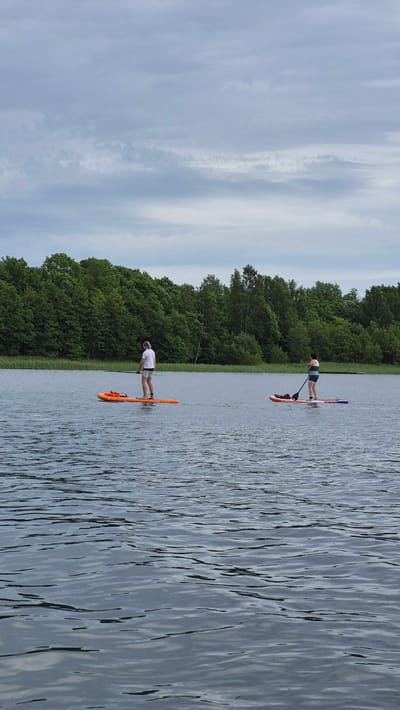 The image depicts a serene natural landscape in Rimšas, Latvia, featuring two individuals paddleboarding on a calm body of water. The foreground is dominated by the rippling surface of the lake, reflecting the overcast sky above. In the mid-ground, a person wearing a white t-shirt and shorts stands on an orange paddleboard, holding a paddle. Further in the distance, a second individual, dressed in a black and white tank top and shorts, is also paddleboarding on a board with blue and purple accents, holding a paddle. The background is characterized by a dense, vibrant green forest that stretches along the shoreline, creating a natural boundary between the water and the sky. The sky itself is filled with a layer of soft, gray clouds, suggesting a cool, possibly humid, day. The overall impression is one of peaceful outdoor activity in a lush, natural environment.