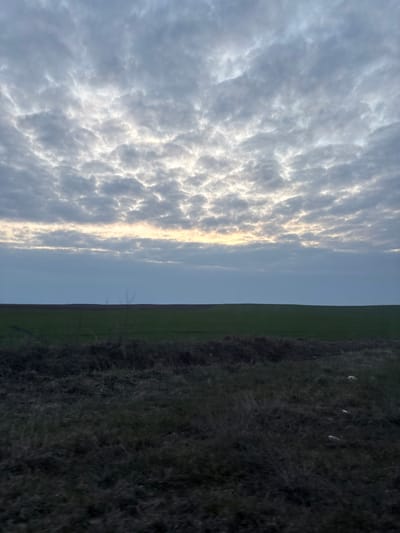 An open rural landscape is depicted in Komoshtitsa, Bulgaria, under an overcast sky. The upper two-thirds of the image are filled with a dense canopy of grey altocumulus clouds, exhibiting irregular patterns of bright, diffused white and yellow light, particularly across the middle and upper-middle sections, indicative of indirect sunlight. A narrow, horizontal band of brighter, muted yellow light is visible along the horizon line, suggesting twilight conditions.

Below the sky, the landscape features a distinct, flat horizon. A broad expanse of dark green, possibly cultivated, agricultural field occupies the midground, showing subtle undulations and stretching from left to right across the frame. Behind this green field, a strip of darker, reddish-brown earth is visible, likely another tilled field.

The foreground consists of a dark, uncultivated strip of ground covered in sparse, dry, brown-grey grass and denser patches of dark vegetation. Several indistinct whitish objects, consistent with discarded litter such as plastic bottles, are visible on the ground towards the lower right portion of the foreground. A few thin, bare branches or saplings protrude from the foreground vegetation slightly left of center. No human figures or activities are present.