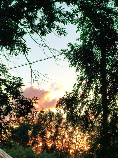 The image depicts a sky with scattered clouds during sunset, illuminated by the setting sun. Silhouetted against the vibrant sky are the dark branches and leaves of several trees. The lower part of the image shows more dense foliage, with the setting sun creating a strong backlight effect that causes many of the leaves to appear as bright orbs. In the bottom left corner, a portion of a building roof, possibly made of corrugated metal, is visible. The image appears to be taken from a ground-level perspective, looking upwards into the trees and sky. The location is identified as Kotovsk, Russia, but no specific landmarks or contextual details within Kotovsk are discernible from the image itself.