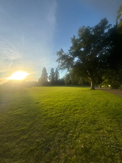 A wide, low-angle shot captures a sun-drenched park in Leominster, United Kingdom. The sun, a brilliant orb radiating golden light and starburst-like rays, dominates the left side of the frame, casting long shadows across a vibrantly green, manicured lawn. In the mid-ground, a cluster of tall, slender trees stands silhouetted against the sky. To the right, a large, mature tree with a thick trunk provides shade over a paved pathway. Park benches and what appear to be informational signs are visible along the path. The sky above is a clear, soft blue, with wispy white clouds streaking across the upper portion of the image. The overall impression is one of a peaceful, sunny afternoon in a well-maintained urban green space.
