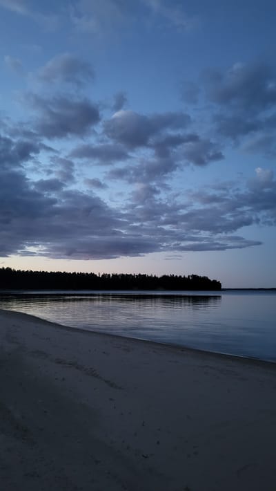 This is a vertical, medium-shot, eye-level, outdoor photograph of a tranquil beach scene at dusk in Zaostrov'e, Russia. The foreground is dominated by a sandy beach stretching diagonally from the lower-left corner towards the center. The sand is dark and appears damp in places, with subtle indentations and shadows suggesting footprints or small debris.

The midground features a calm body of water, likely a lake or bay, reflecting the darkening sky. The water's surface is smooth with gentle ripples, catching the last light of the day. Along the far horizon, a dense line of dark evergreen trees forms a silhouette against the sky, indicating a forested coastline. The trees are uniformly dark, making it difficult to discern individual details.

The background is the sky, which is a gradient of deep blue and purple. Scattered across the sky are numerous clouds, varying in texture and shade. Some clouds are wispy and translucent, while others are thicker and more textured, appearing in shades of dark gray and muted lavender. The overall mood of the image is serene and peaceful, capturing the quiet beauty of a northern twilight. There are no people or man-made objects visible in the frame.