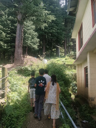 In Khakhnal, India, a group of four people walks along a dirt path in a densely wooded area. A light-colored building with red-trimmed windows is visible on the right side of the frame. The path is flanked by lush green vegetation, including ferns and other leafy plants. Tall evergreen trees dominate the background, casting shadows on the ground. The people, from back view, are dressed in casual clothing. The individual on the far left wears a black t-shirt with white lettering. The second person from the left wears a dark green t-shirt with a graphic design. The third person from the left wears a light-colored patterned outfit. The fourth person, partially visible on the far right, wears a light-colored patterned outfit with a sheer orange shawl. They appear to be walking away from the camera, towards the trees and the building.