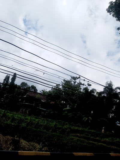 A verdant hillside is viewed beneath a sky overcast with light clouds. The ground is covered with lush vegetation. A building with a red roof and dark features is nestled amidst the trees. Telephone lines stretch across the top portion of the scene. A small, pale figure stands on the hillside. A small portion of a yellow and black safety barrier is visible at the bottom of the frame.