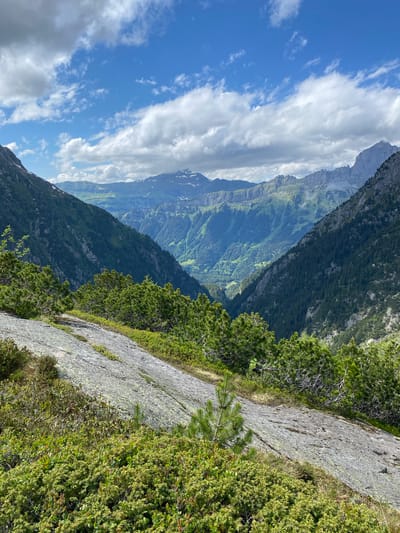 This image captures a wide-angle view of a mountainous valley landscape, characteristic of the region near Innertkirchen, Switzerland. The scene is dominated by natural elements under a partly cloudy blue sky.

In the immediate foreground, a broad, sloping expanse of light grey rock, partially covered with patches of light green lichen, extends across the lower portion of the frame. Scattered among and growing from cracks in this rock are dense clumps of low-lying green vegetation, including small, vibrant green coniferous saplings and various shrubs.

Beyond the foreground rock, a deep, V-shaped valley descends sharply into the distance, framed by steep mountain slopes on both the left and right. These slopes are heavily forested with dark green coniferous trees, appearing dense and uniform. As the valley recedes into the background, the forest gives way to lighter green patches, possibly meadows or less dense woodlands, visible in the valley floor.

In the middle ground and background, successive layers of rugged mountain ranges are visible. These mountains display varied textures, from sharp, rocky peaks to gentler, forested slopes. Some higher peaks, particularly towards the distant left and right, exhibit patches of snow. The mountains recede in atmospheric perspective, appearing progressively lighter and bluer with distance.

The sky above is a vibrant blue, featuring numerous scattered cumulus clouds of varying sizes. The cloud cover is denser towards the horizon, transitioning to clearer blue overhead with smaller, more dispersed clouds. No human figures, animals, or man-made structures are visible within the frame. The overall impression is one of a vast, untouched natural environment on a clear, bright day.